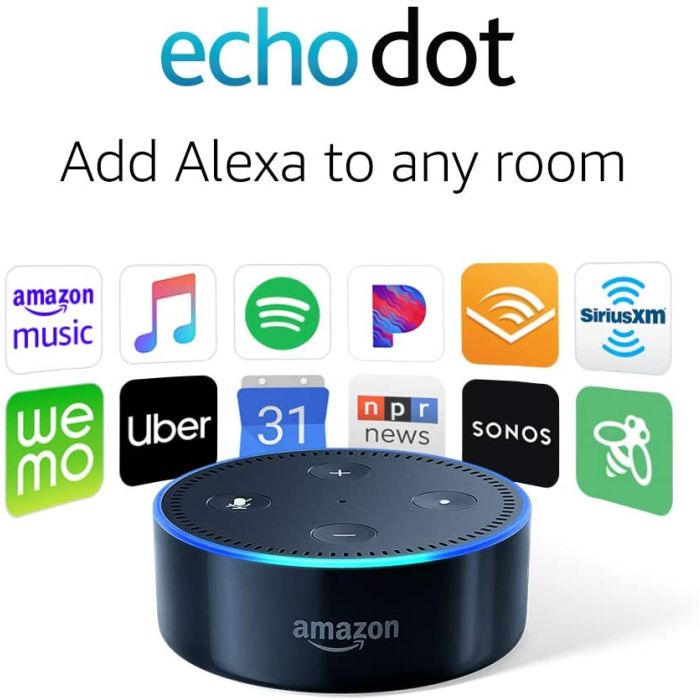 Amazon Echo Dot 2nd Generation - Voice Control Device