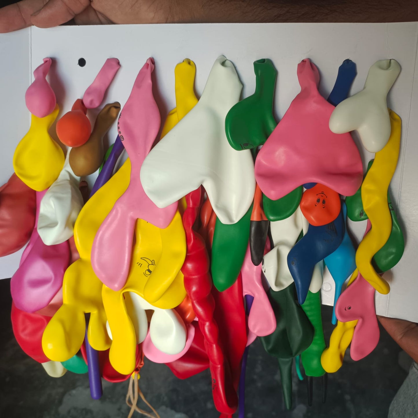Bubbly Animal Shaped Balloons, Multi Colors